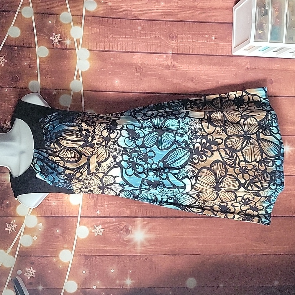 Sandro Ferrone Floral Print Dress Size M